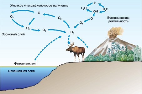 Колообіг Оксигену в природі