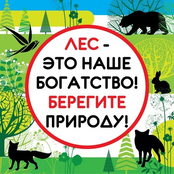 Плакат "берегите лес!"