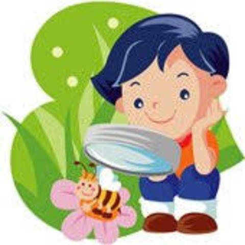 Дети наблюдают за природой