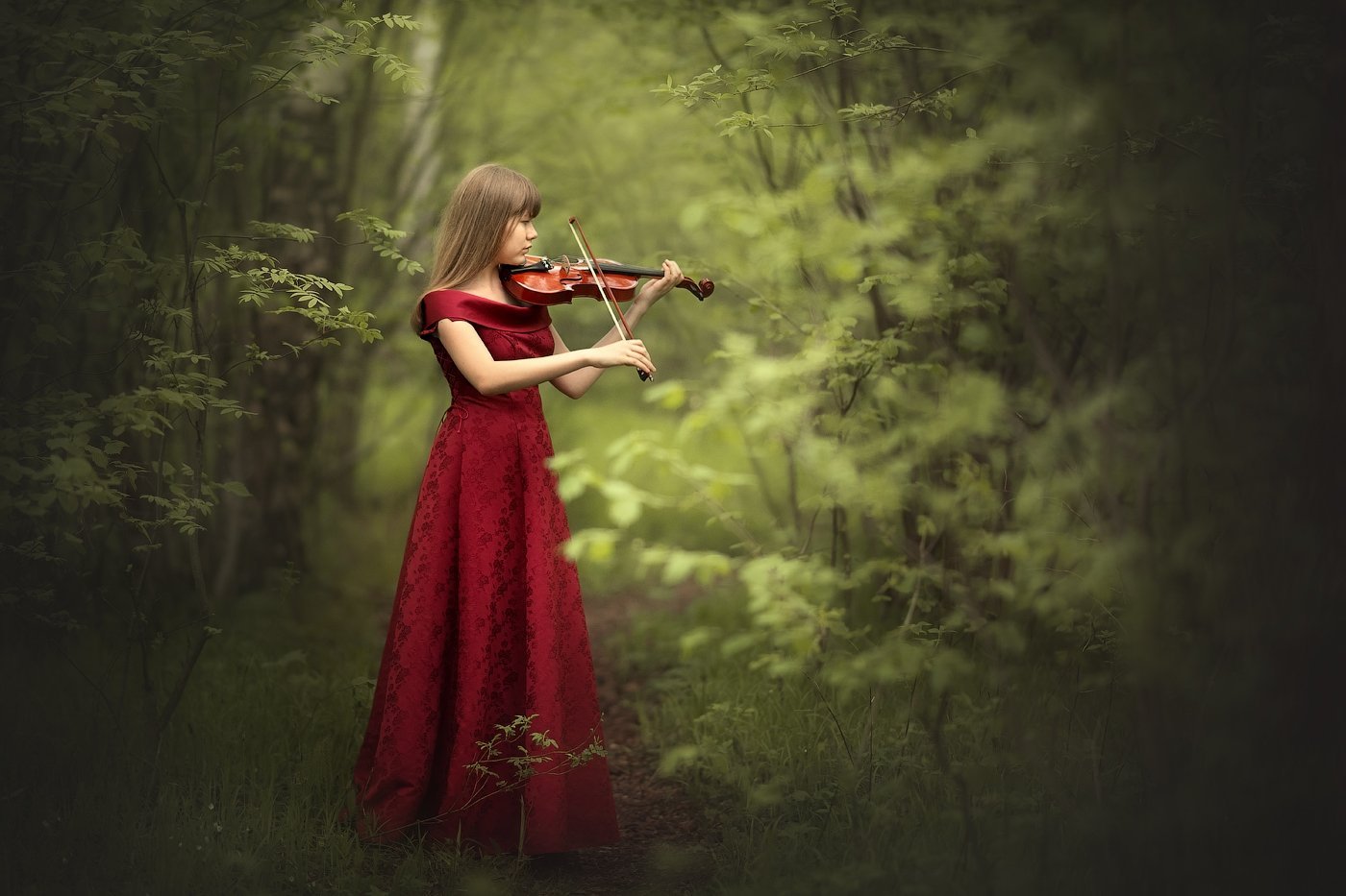 Девочка скрипачка. Девушки со скрипкой. Фотосессия со скрипкой. Девочка со скрипкой. Девушка со скрипкой в лесу.