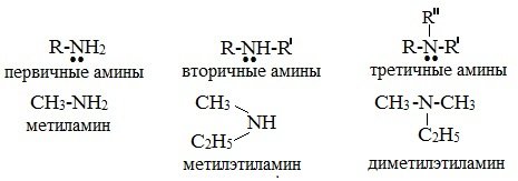 Картинки амины в природе (66 фото)