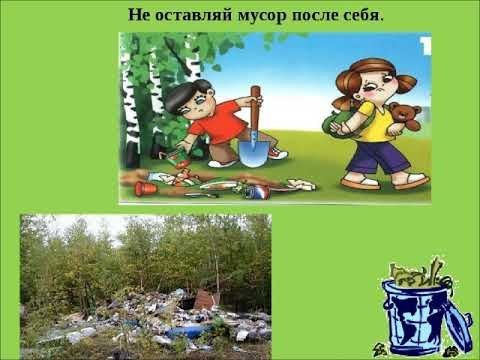 Не мусорить на природе