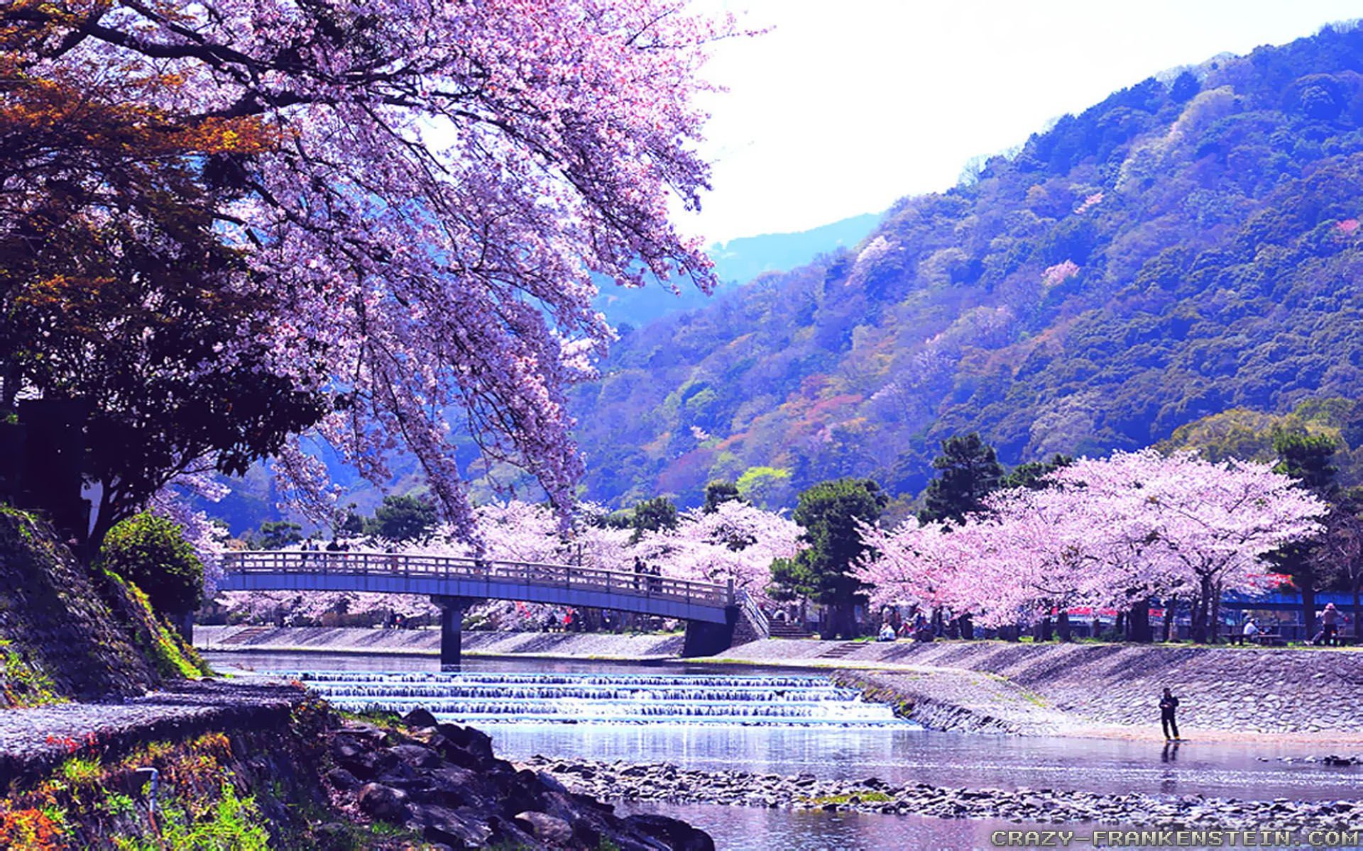 Япония - красивые картинки ( фото)