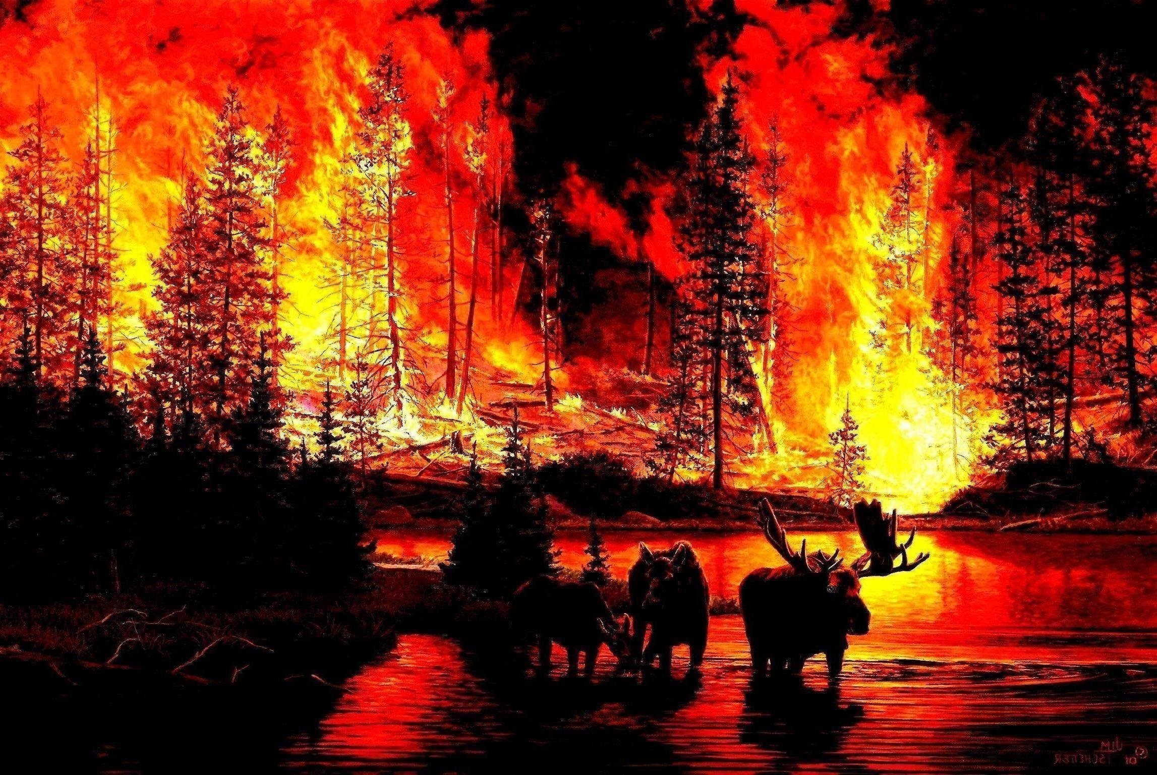Огни пожарищ. Лесные пожары. Лес в огне. Горящий лес. Пожар на природе.