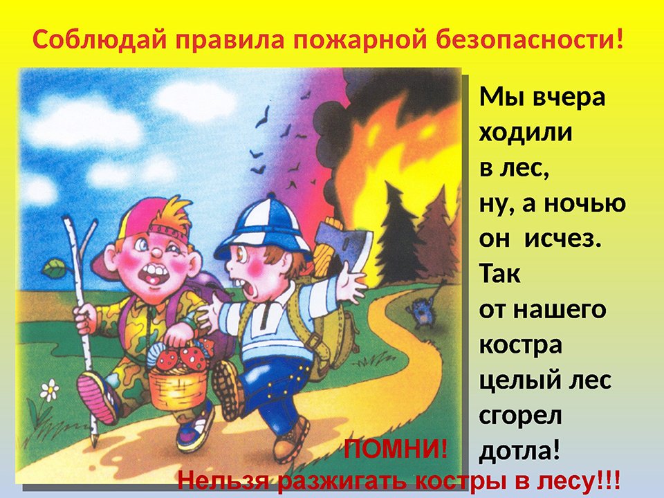 Правила Пожарной Безопасности В Лесах Картинки