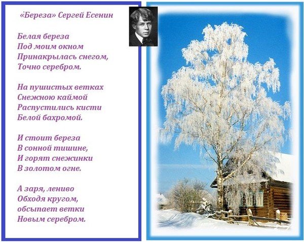 Сергей Есенин листва Золотая