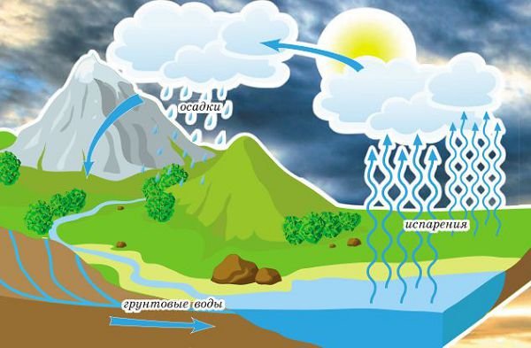 Картинки водоворот воды в природе (68 фото)