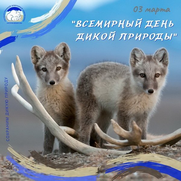 Всемирный день дикой природы