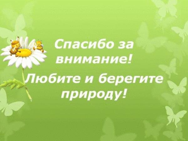 Спасибо за внимание река
