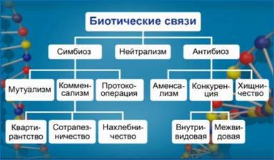 Биотические связи в природе