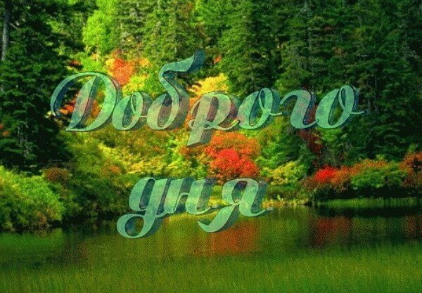 Доброго дня фото природы с надписями