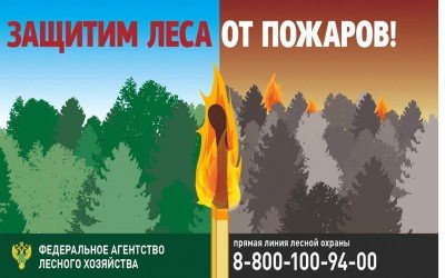 Береги лес от пожара