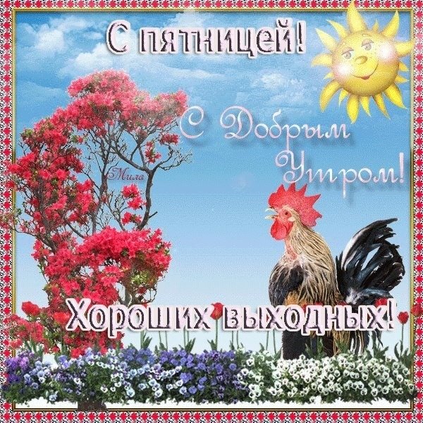 Открытки с добрым утром пятницы