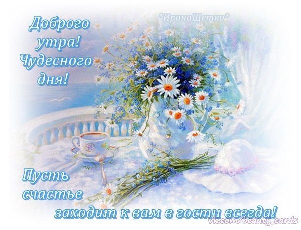 Красивые поздравления с добрым утром природа