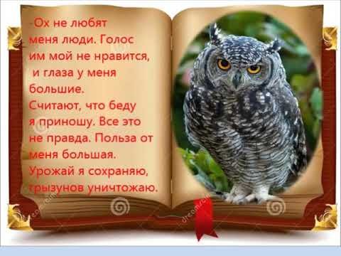 Жалобная книга природы в детском саду