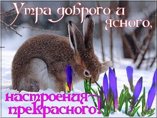 Доброе утро Весна идет