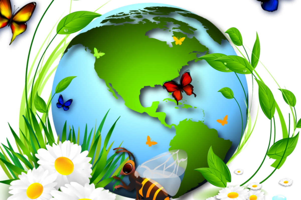 День экологических знаний в детском саду. Детям об экологии. Экология для дошкольников. Экология планеты. Картинки по экологии.