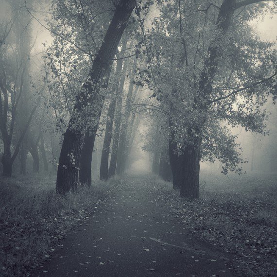 Печаль природа