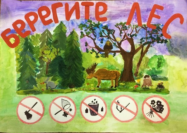 Плакат "берегите лес!"