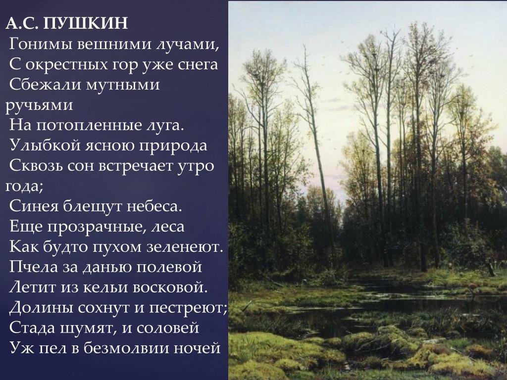 Впр хорошо весной кругом все зелено каждая. Гонимы вешними лучами с окрестных гор уже снега Пушкин. Произведения о лесе. Пушкин в лесу.
