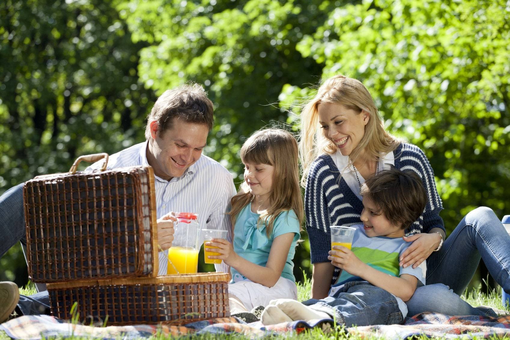 Описание пикника. Пикник на природе. Семья на пикнике. Пикник с семьей на природе. Родители с детьми на природе.