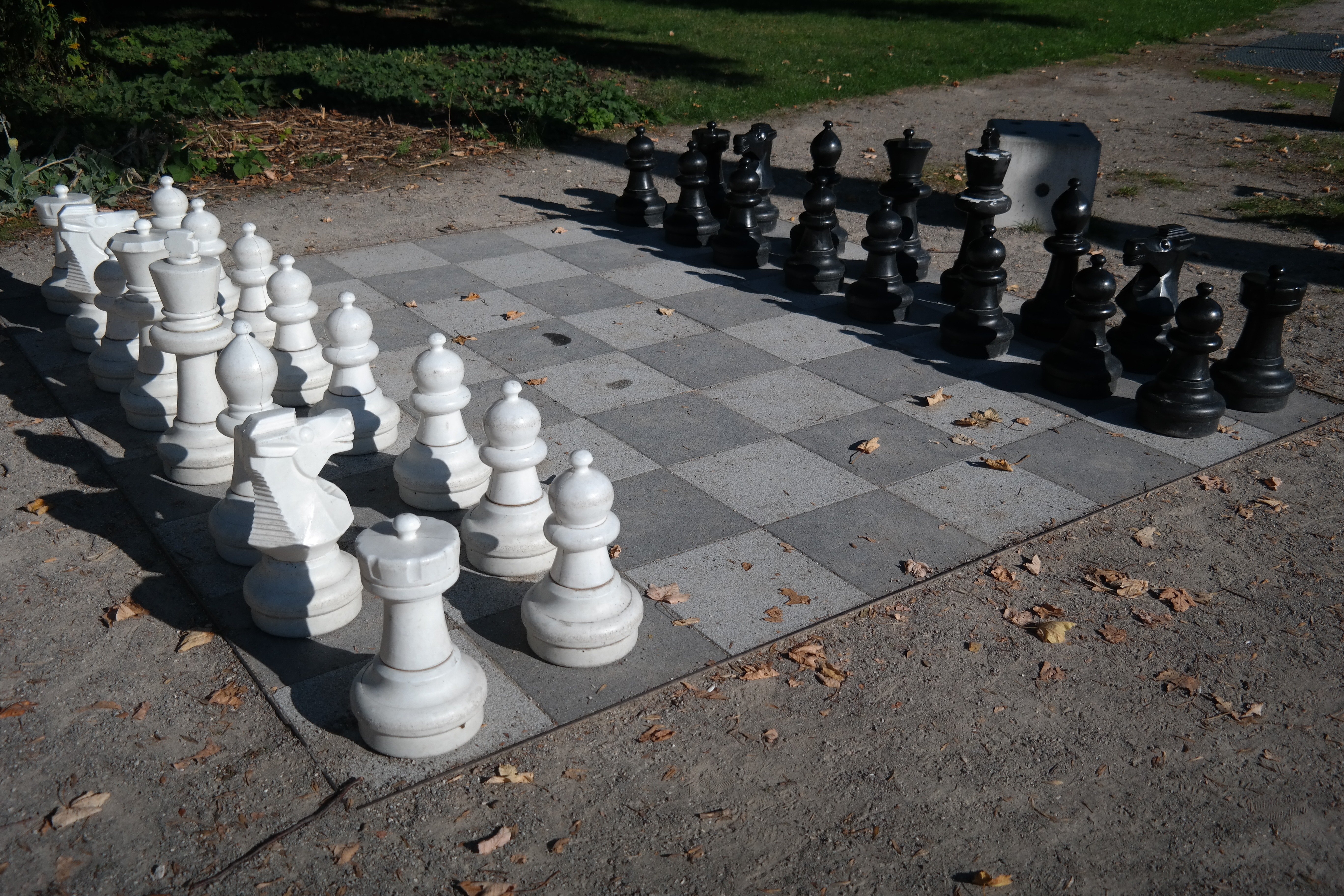 Картинки шахматы на природе (69 фото) » Картинки и статусы про окружающий  мир вокруг