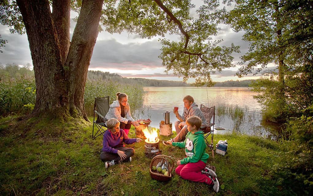 Family picnic, изображений — стоковые фотографии | Shutterstock