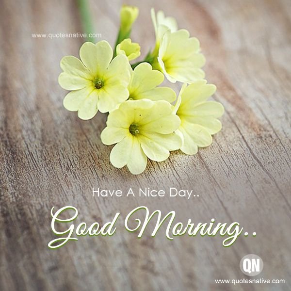 Have a nice Day цветы
