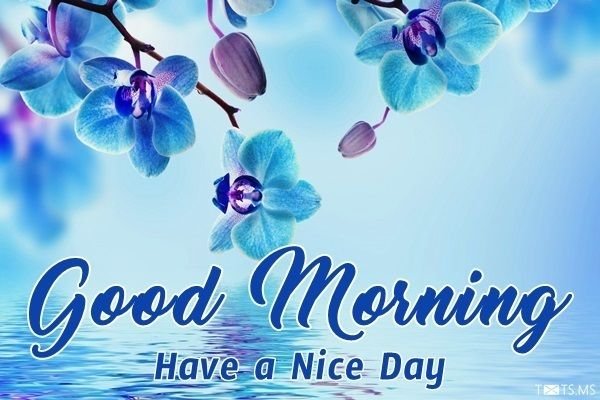 Have a nice Day картинки природа