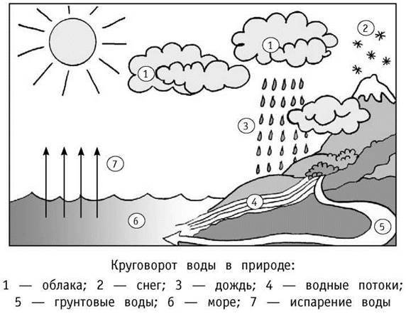 Водоворот воды в природе для детей