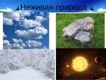 Неживая природа