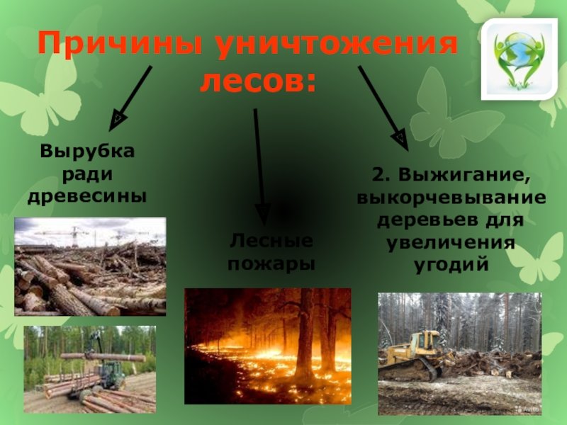 Что опасно человеку в лесу. Причины исчезновения лесов. Причины уничтожения леса. Причины вырубки лесов. Вырубка лесов причины.