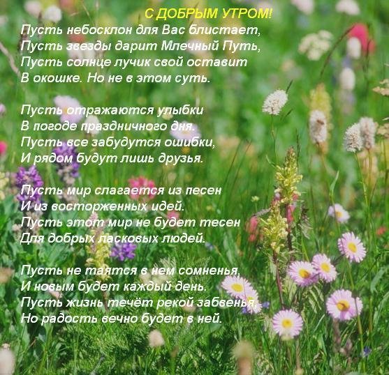 Интересные пожелания с добрым утром