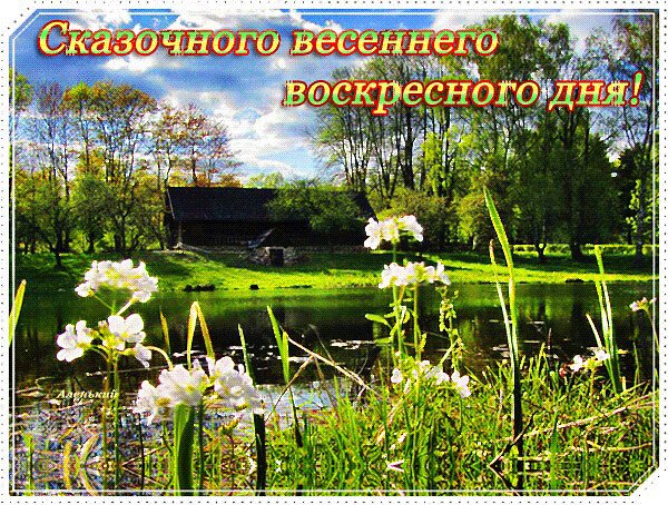 Доброго весеннего воскресного дня