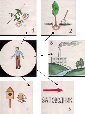 Экология для дошкольников
