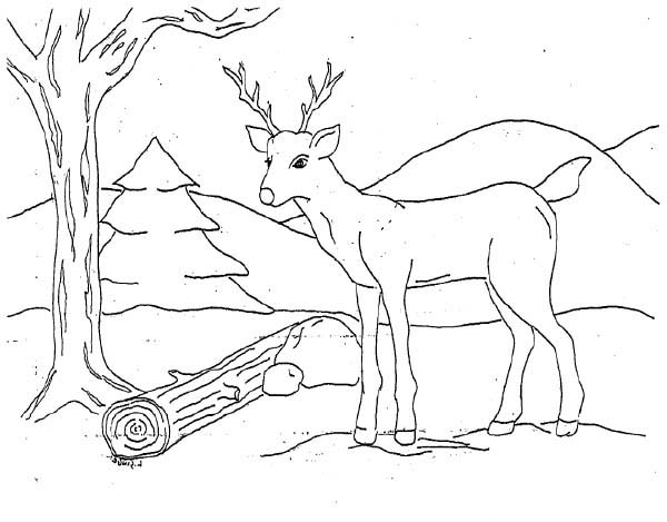 Рисунок на тему природа