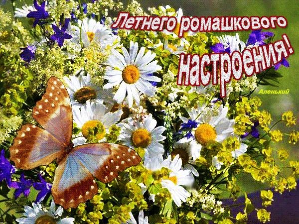 Открытка прекрасного летнего дня