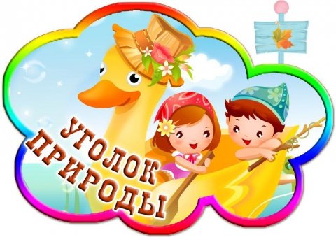 Название уголков в детском саду
