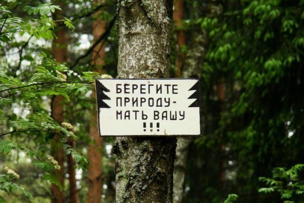Берегите лес мать Вашу