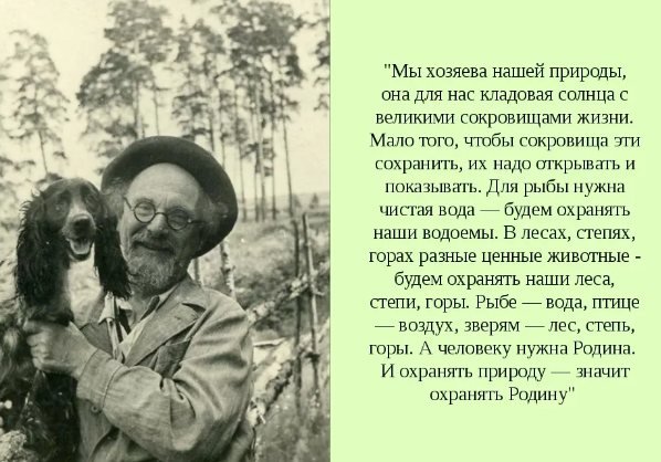 Экологический плакат рисунки
