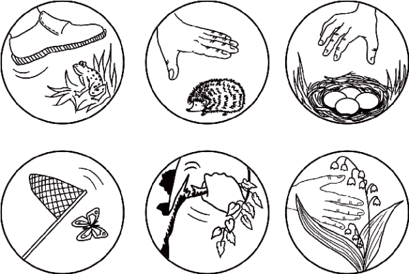 Берегите природу в детском саду