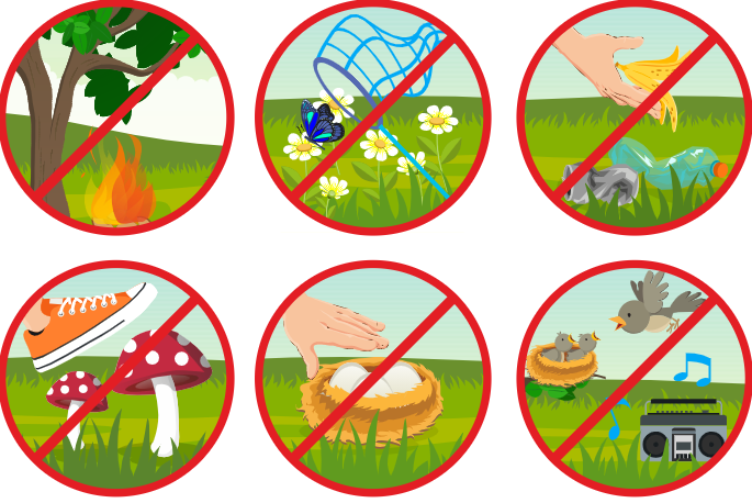 Хорошо в лесу какой знак. Экологические знаки. Природоохранные знаки. Знаки защиты природы. Знаки защиты природы для детей.
