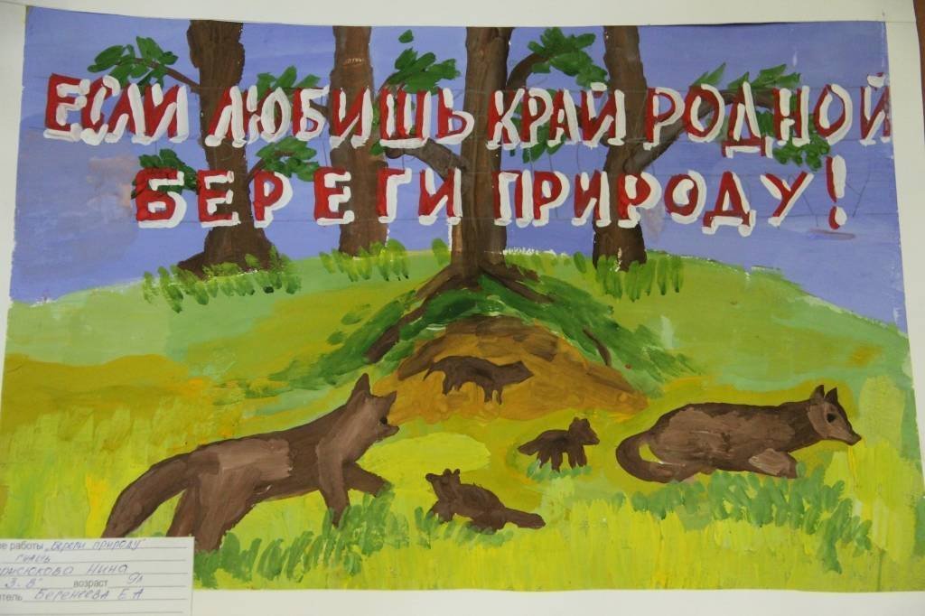 Сохраним родную природу. Плакат природа. Плакат защита природы. Плакаты об охране природы и животных. Плакат охрана животных.
