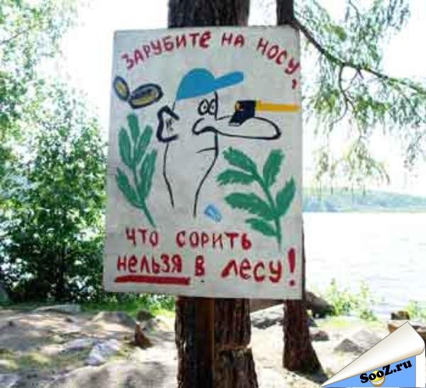 Плакат не мусорить в лесу