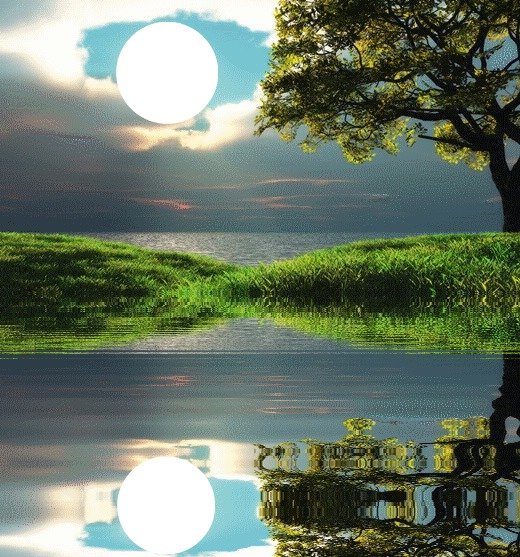 Открытки с добрым утром с природой