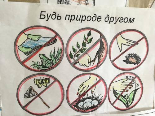 Картинки на тему будь природе другом (70 фото)