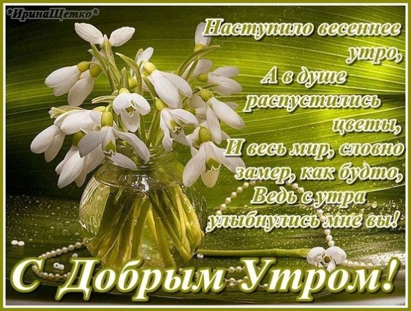 Доброе утро Зайка