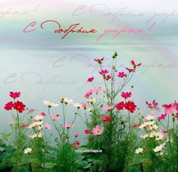 Красивые пейзажи с пожеланиями доброго утра