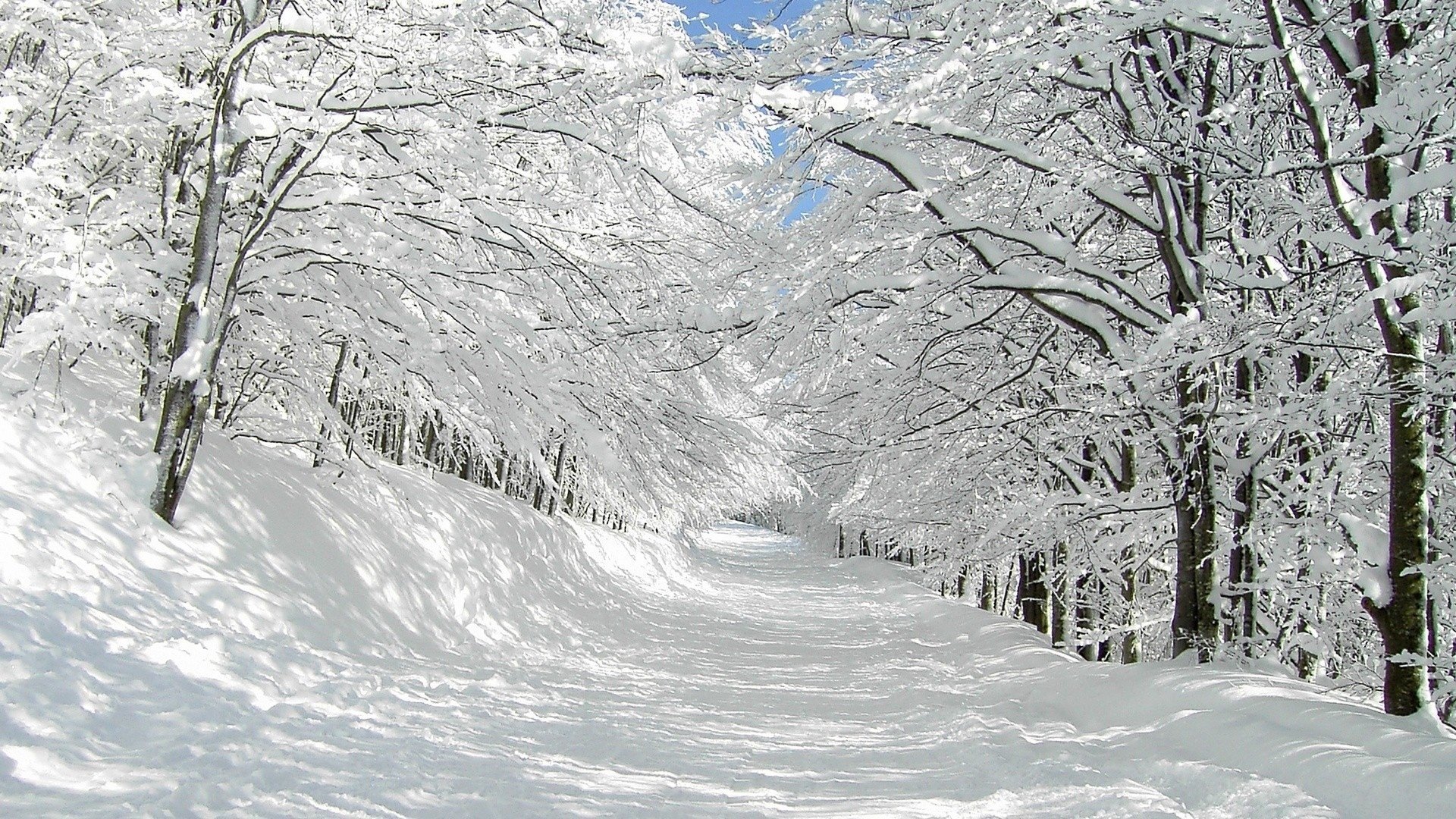 Зимний пейзаж - красивые картинки (100 фото)