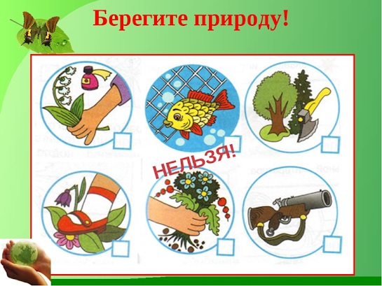 Берегите природу